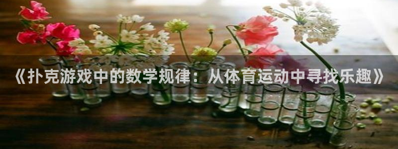 《扑克游戏中的数学规律：从体育运动中寻找乐趣》