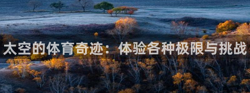 太空的体育奇迹：体验各种极限与挑战