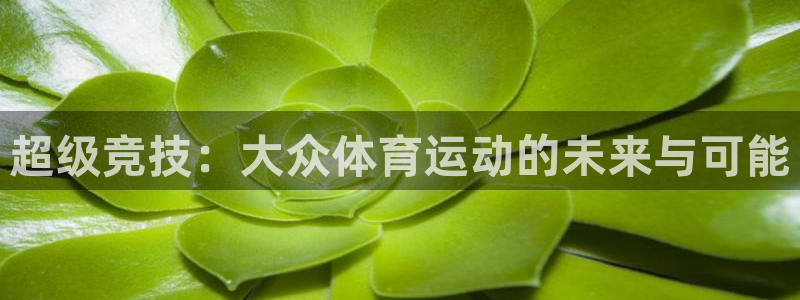 超级竞技：大众体育运动的未来与可能