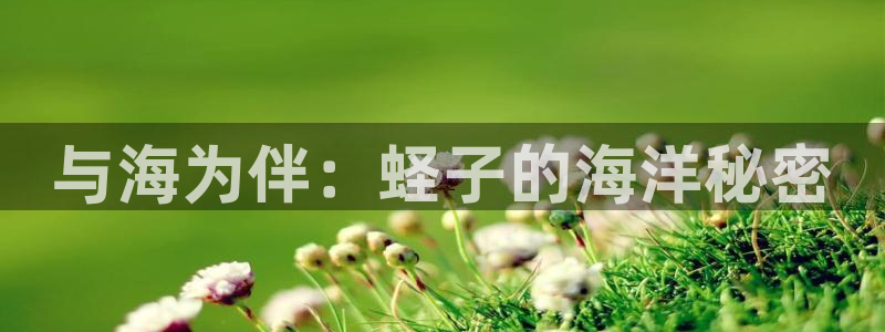 与海为伴：蛏子的海洋秘密