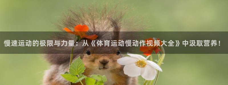 慢速运动的极限与力量：从《体育运动慢动作视频大全》中汲取营养！